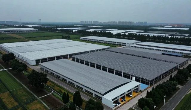 优化系统运维效率的实用建议